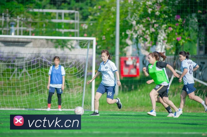 乐竞体育官网首页服务体系